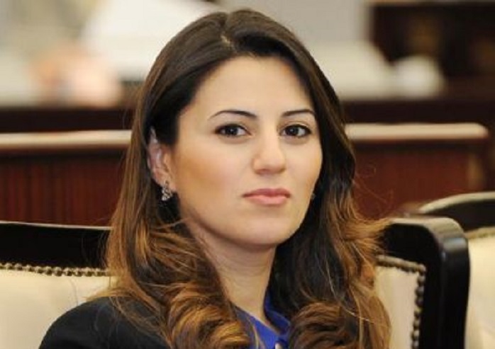 Azerbaijani MP to visit France 